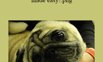 CPD - MS211 Veterinary Neurology made easy!