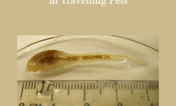 CPD - MS212 – Parasite Prevention in Travelling Pets