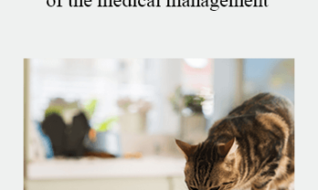 CPD - MS213 – When Nutrition is part of the medical management