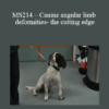 CPD - MS214 – Canine angular limb deformities- the cutting edge