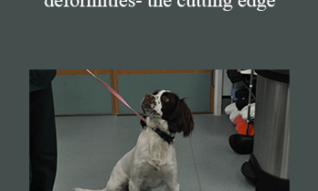 CPD - MS214 – Canine angular limb deformities- the cutting edge