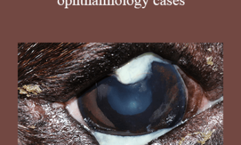CPD - MS216 – Problem-oriented ophthalmology cases