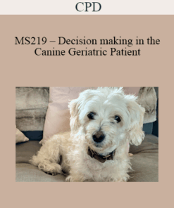 CPD - MS219 – Decision making in the Canine Geriatric Patient
