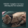 CPD - MS220- Complex Cat Cases – effecting the best medicine