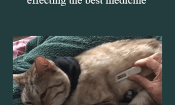 CPD - MS220- Complex Cat Cases – effecting the best medicine