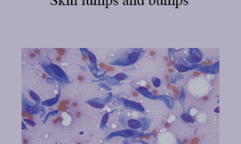 CPD - MS221 – Diagnostic cytology: Skin lumps and bumps