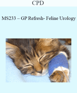 CPD - MS233 – GP Refresh- Feline Urology