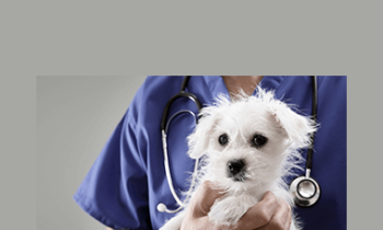 CPD - Medicine 1 Mega Bundle