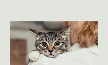 CPD - Medicine 2 Mega Bundle