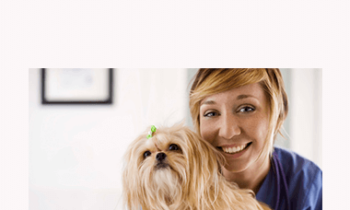 CPD - Nurses 1 Mega Bundle