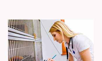 CPD - Nurses 2 Mega Bundle