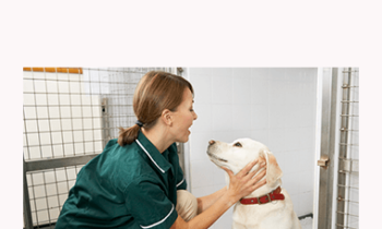 CPD - Nurses 3 Mega Bundle