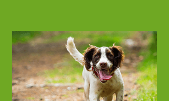 CPD - Orthopaedic Mega Bundle