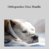 CPD - Orthopaedics Mini Bundle