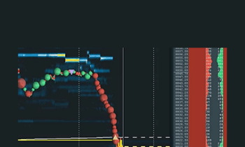 Ccott Pulcinit - NQ full order flow course