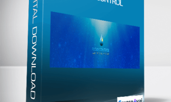 Claus Levin - FLOW CONTROL