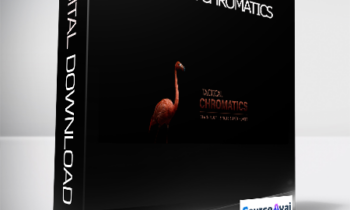 Claus Levin - TACTICAL CHROMATICS