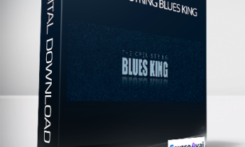 Claus Levin - THE OPEN STRING BLUES KING