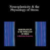 Clyde Boiston - Neuroplasticity & the Physiology of Stress: A Mindfulness Perspective