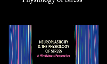 Clyde Boiston - Neuroplasticity & the Physiology of Stress: A Mindfulness Perspective