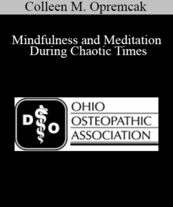 Colleen M. Opremcak - Mindfulness and Meditation During Chaotic Times