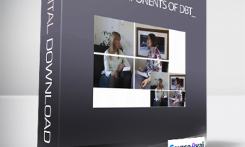 Core Components of DBT_