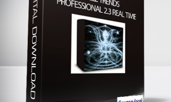 Cycle Trends Professional 2.3 Real Time with Esignal cycletrends.co.za