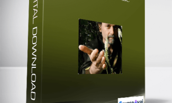 David Crow - Matrix of Magic