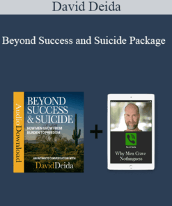 David Deida - Beyond Success and Suicide Package