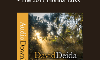 David Deida - Nothing is Missing - The 2017 Florida Talks