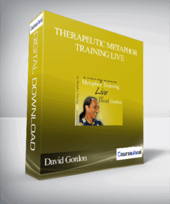 David Gordon – Therapeutic Metaphor Training LIVE