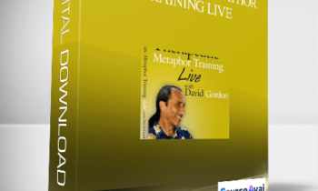 David Gordon – Therapeutic Metaphor Training LIVE