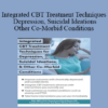 David M. Pratt - Integrated CBT Treatment Techniques for Depression