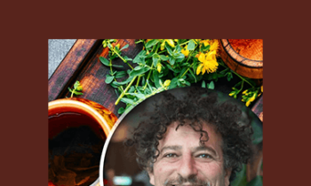 David Wolfe - Essentials Of Hormone Balance