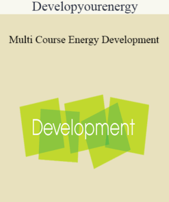 Developyourenergy - Multi Course Energy Development