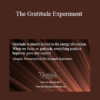 Douglas Vermeeren - The Gratitude Experiment