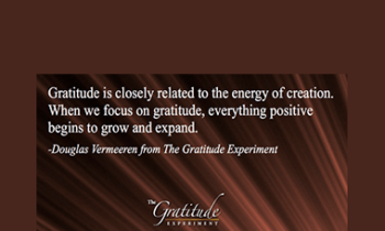 Douglas Vermeeren - The Gratitude Experiment