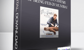 Dr. Dain Heer - Energetic Synthesis of Being Feb-20 Mumbai