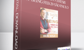 Dr. Dain Heer - Energetic Synthesis of Being Feb-20 São Paulo