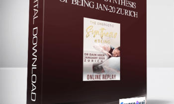 Dr. Dain Heer - Energetic Synthesis of Being Jan-20 Zurich