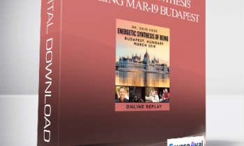Dr. Dain Heer - Energetic Synthesis of Being Mar-19 Budapest