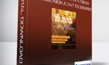 Dr. Dain Heer - Global Energetic Synthesis of Communion Jun-17 Teleseries