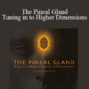 Dr. Joe Dispenza - The Pineal Gland - Tuning in to Higher Dimensions