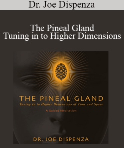 Dr. Joe Dispenza - The Pineal Gland - Tuning in to Higher Dimensions