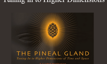 Dr. Joe Dispenza - The Pineal Gland - Tuning in to Higher Dimensions