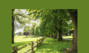 Dr. Joe Rubino - Living Your Dream Life