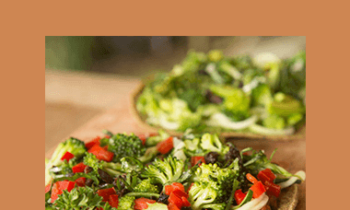 Elaina Love - Raw Chef Certification