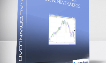 Elder-disk 1.01 for NinjaTrader7