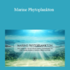 Eric Thompson - Marine Phytoplankton