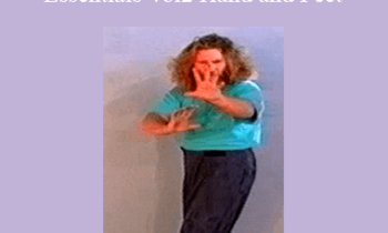 Erle Montaigue - MTG39 - Baguazhang Essentials Vol2 Hand and Feet